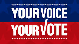vote voice